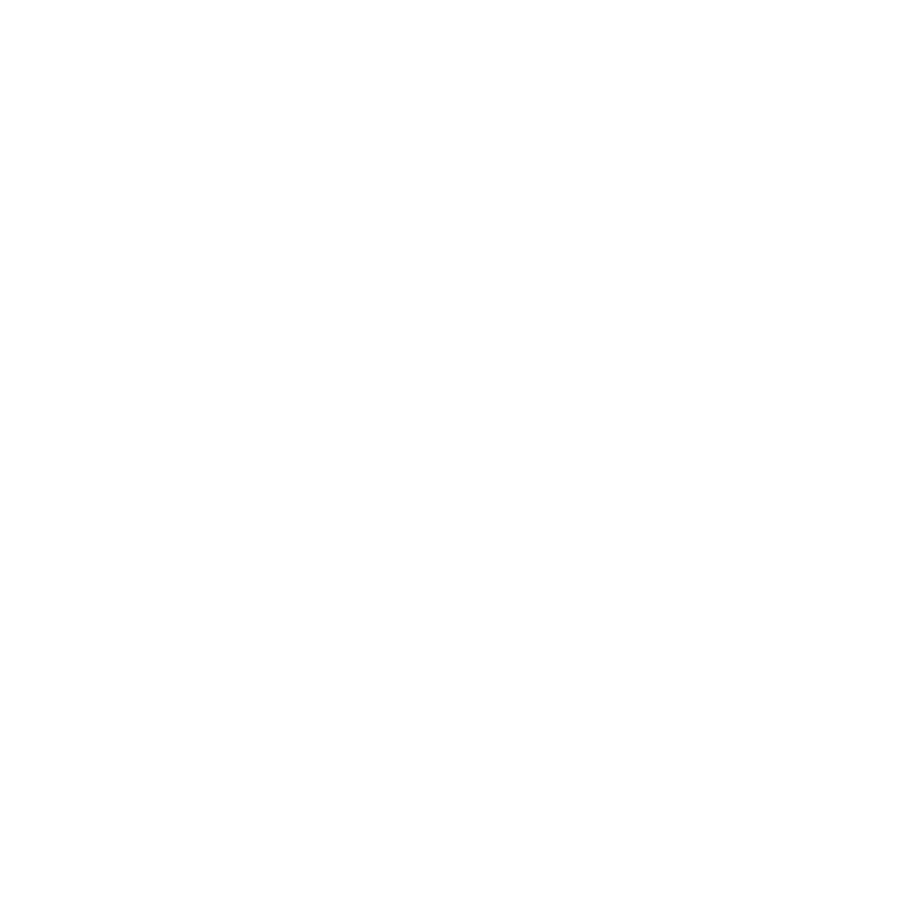 Ashley Jay Logo